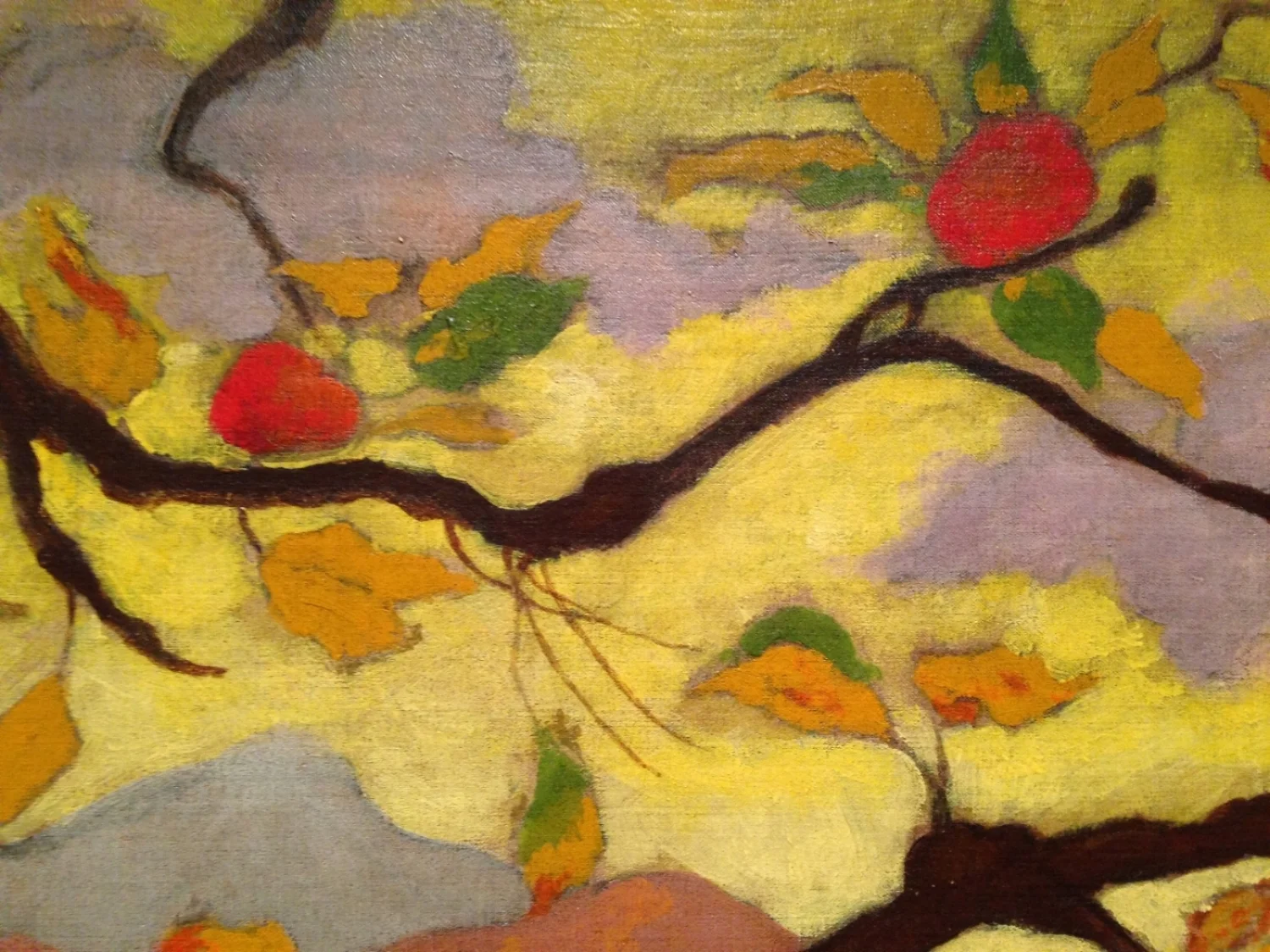  Image taken by M. Hayes 