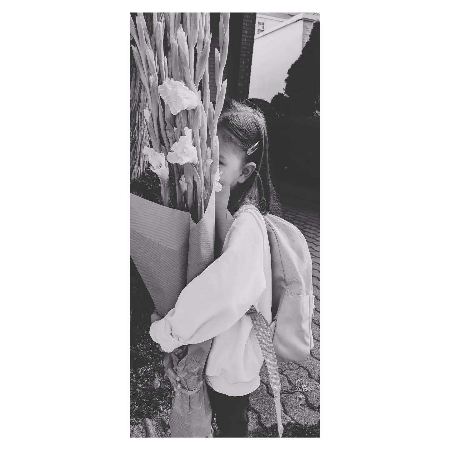 Hand me a tissue... 
#prek #kozminkastudio
