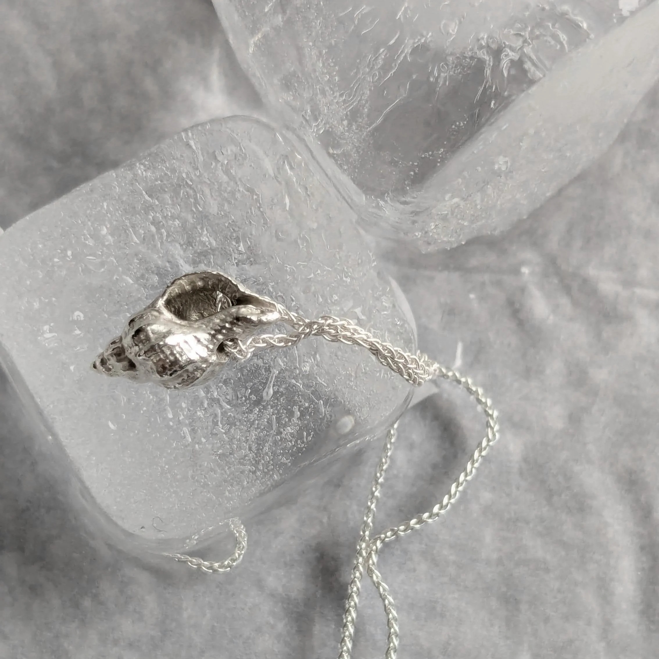 Necklace Montauk Shell Silver