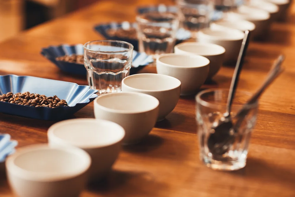 cupping.jpg