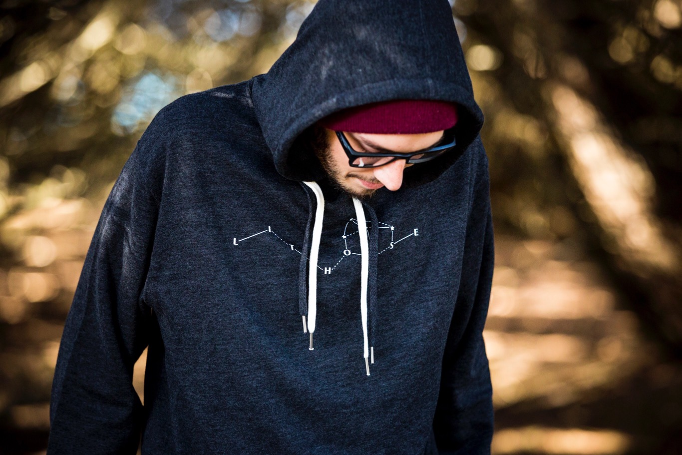 pull over hoodie alex.jpg