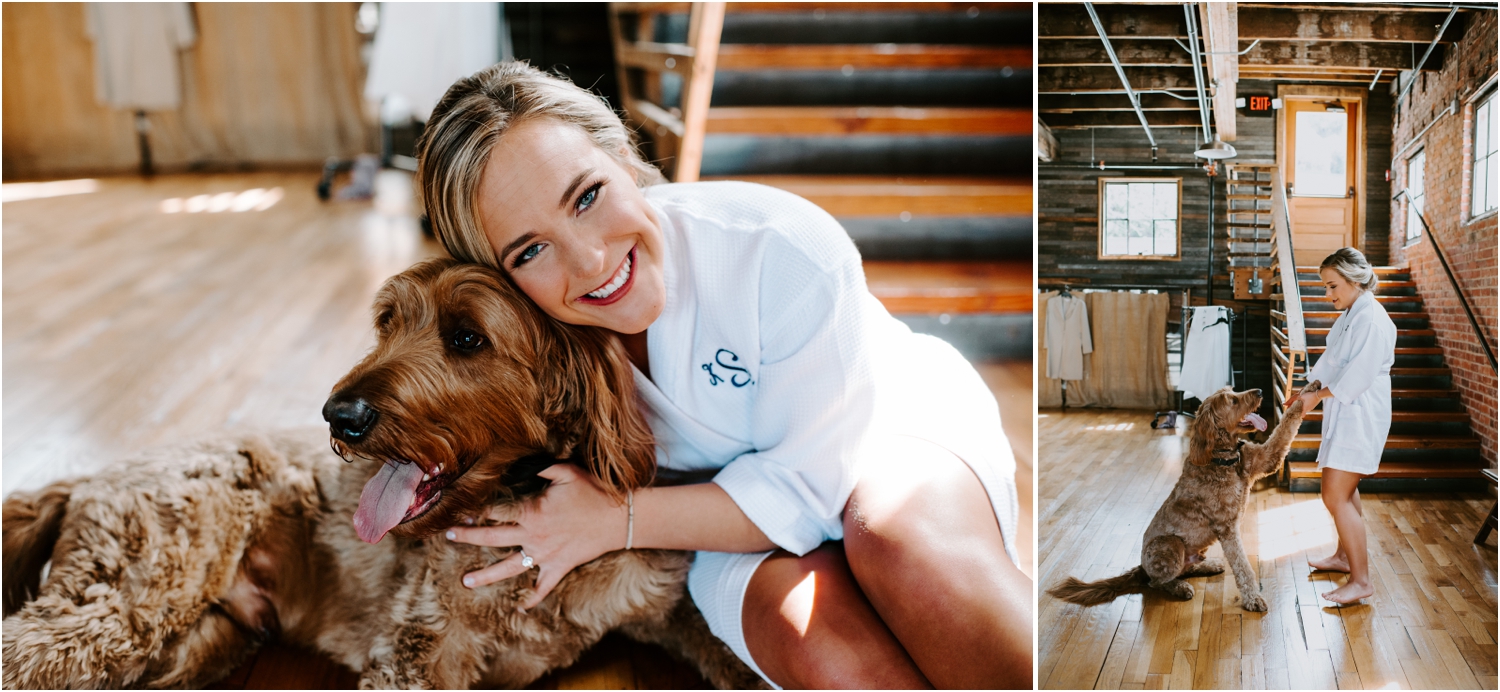 golden doodle with bride at wedding