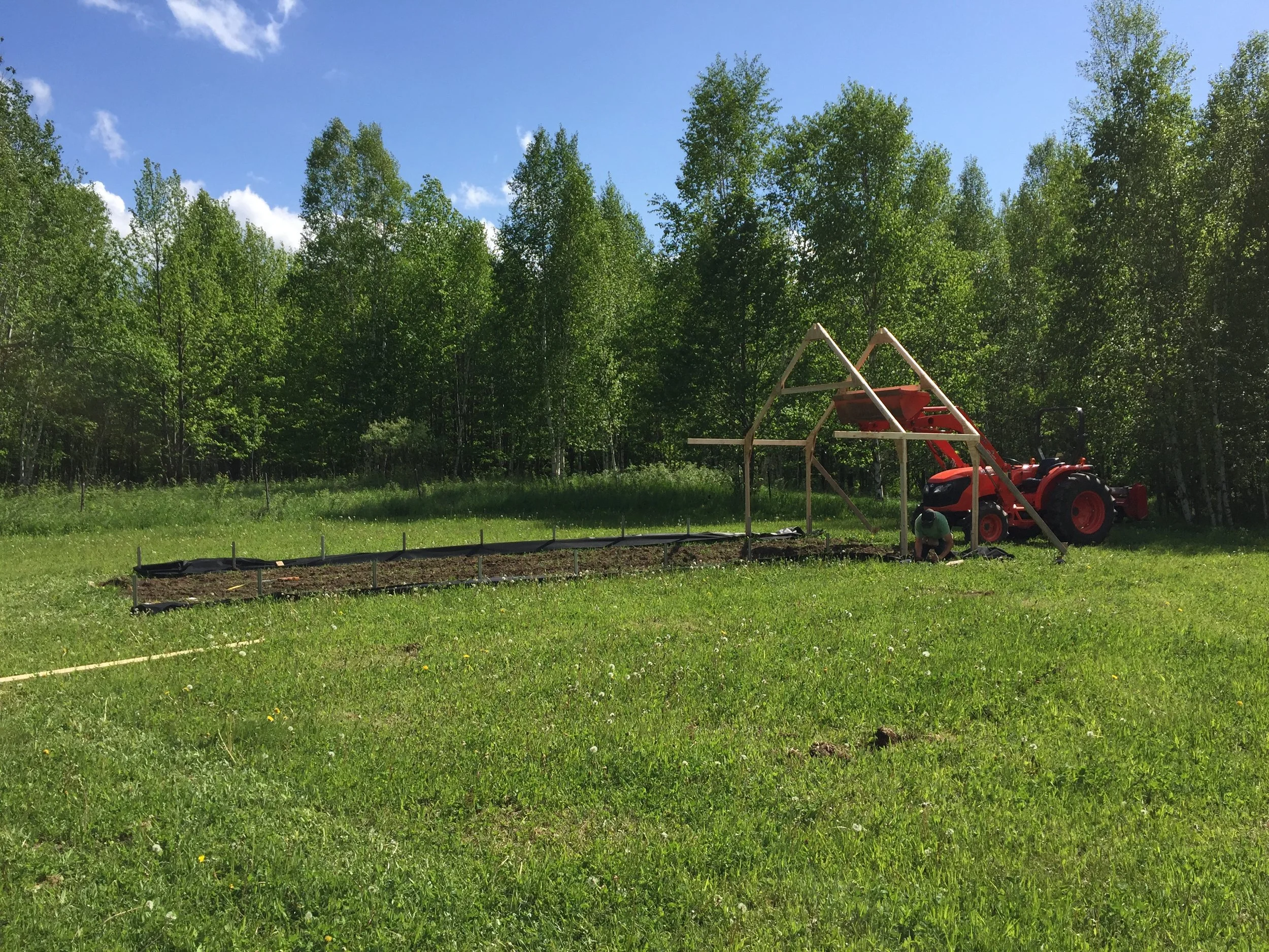 Work begins on our little hoophouse