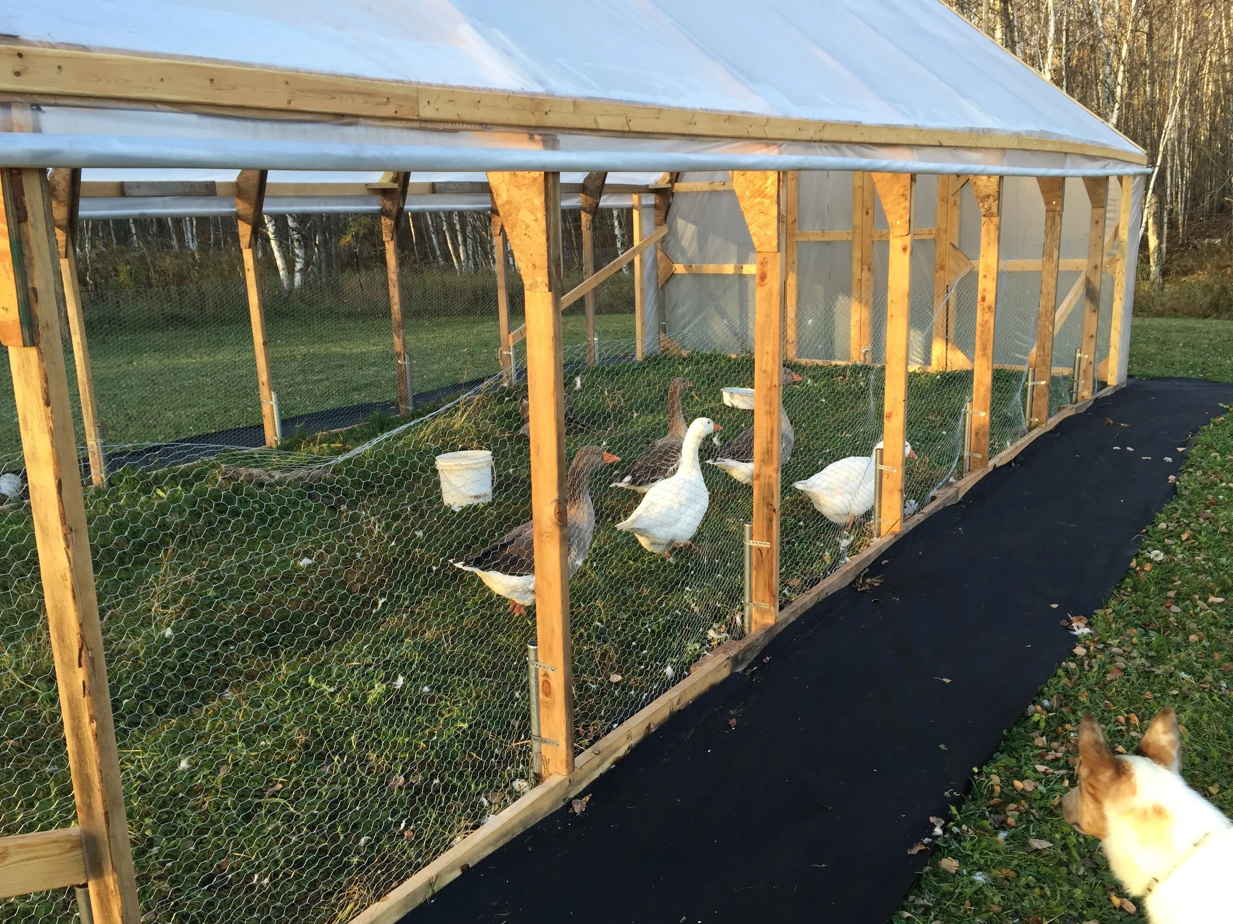 Phone dump Aug262017 138.JPG