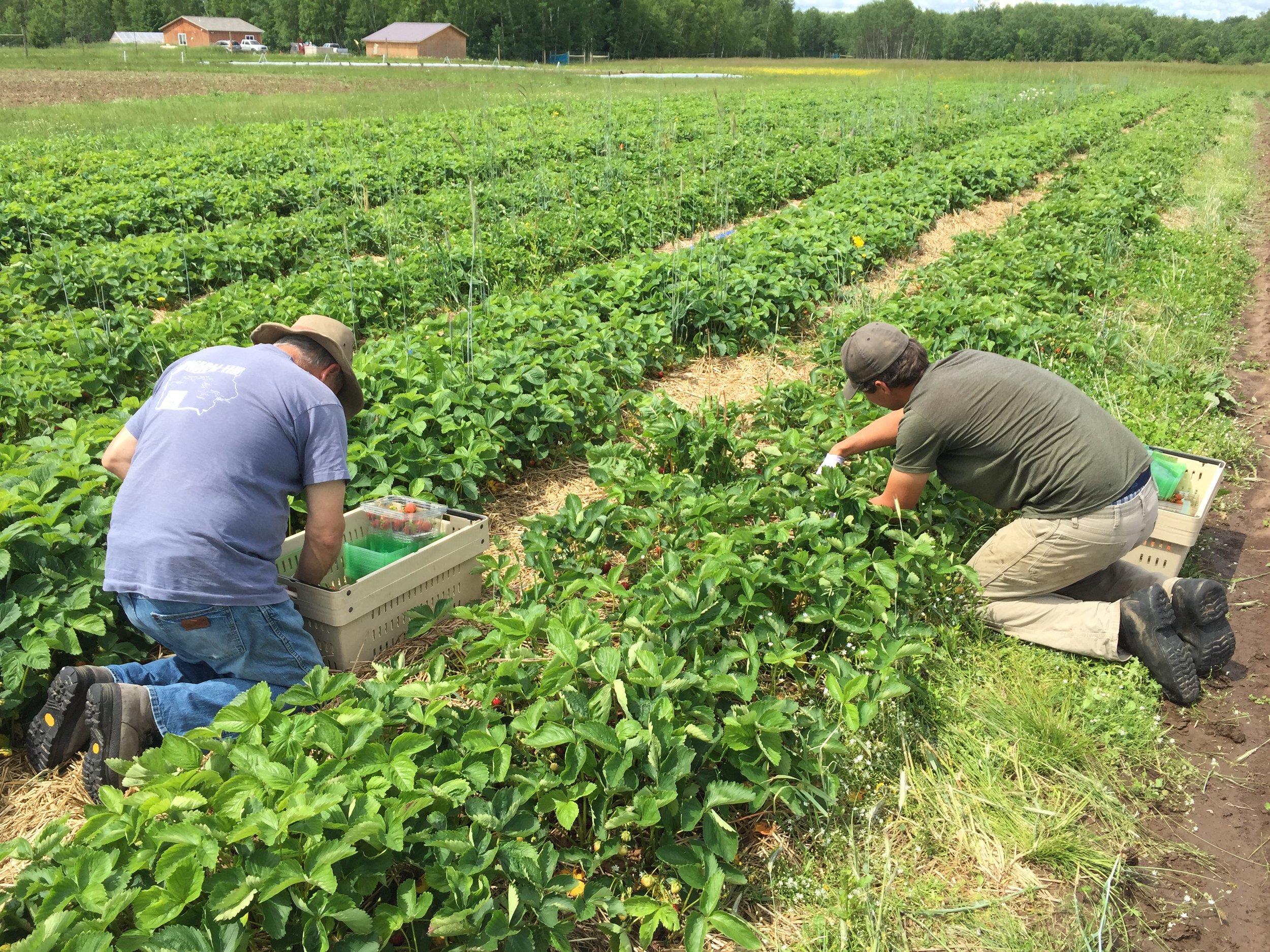 Phone dump Aug262017 462.JPG