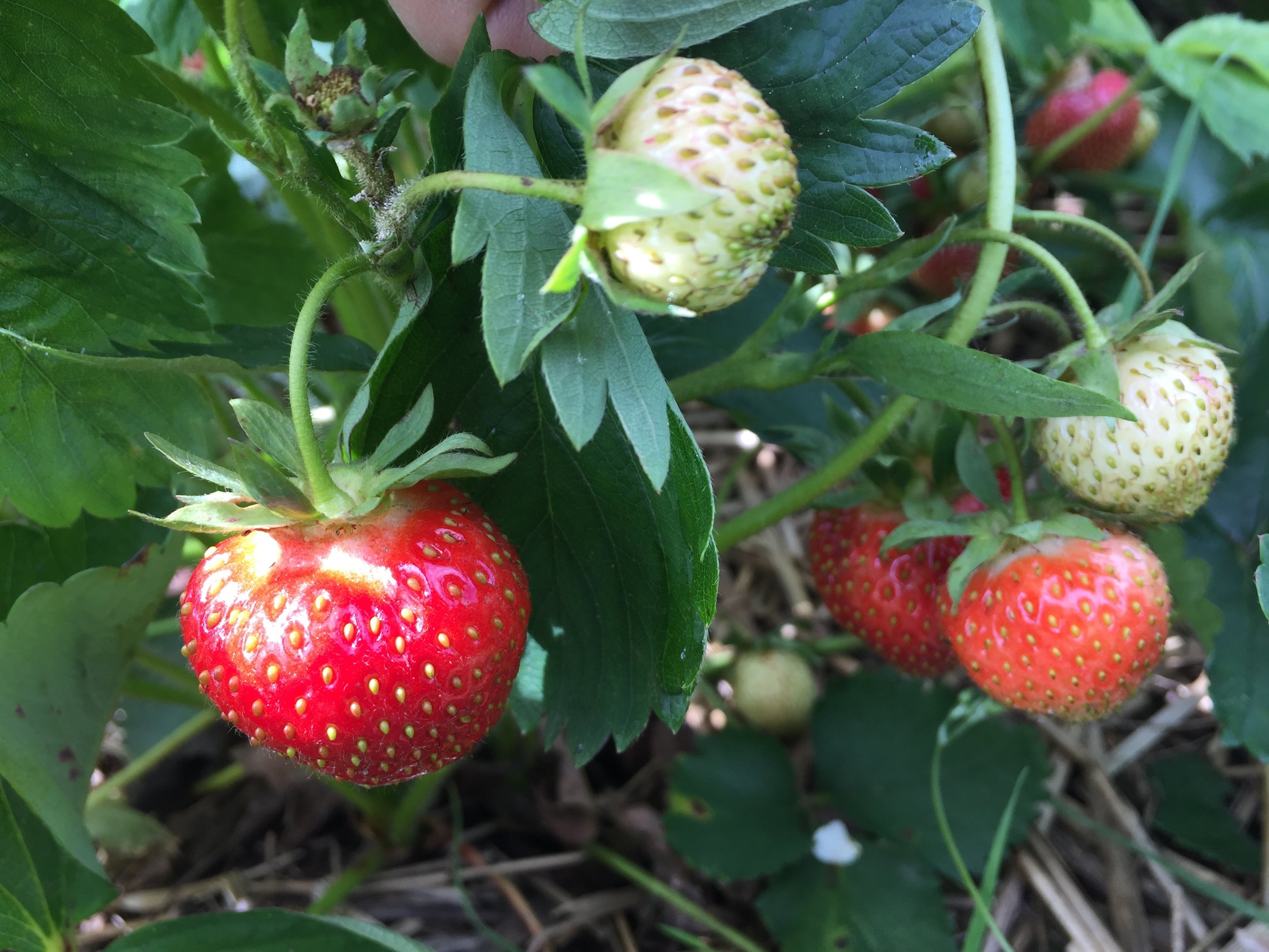 Phone dump Aug262017 466.JPG