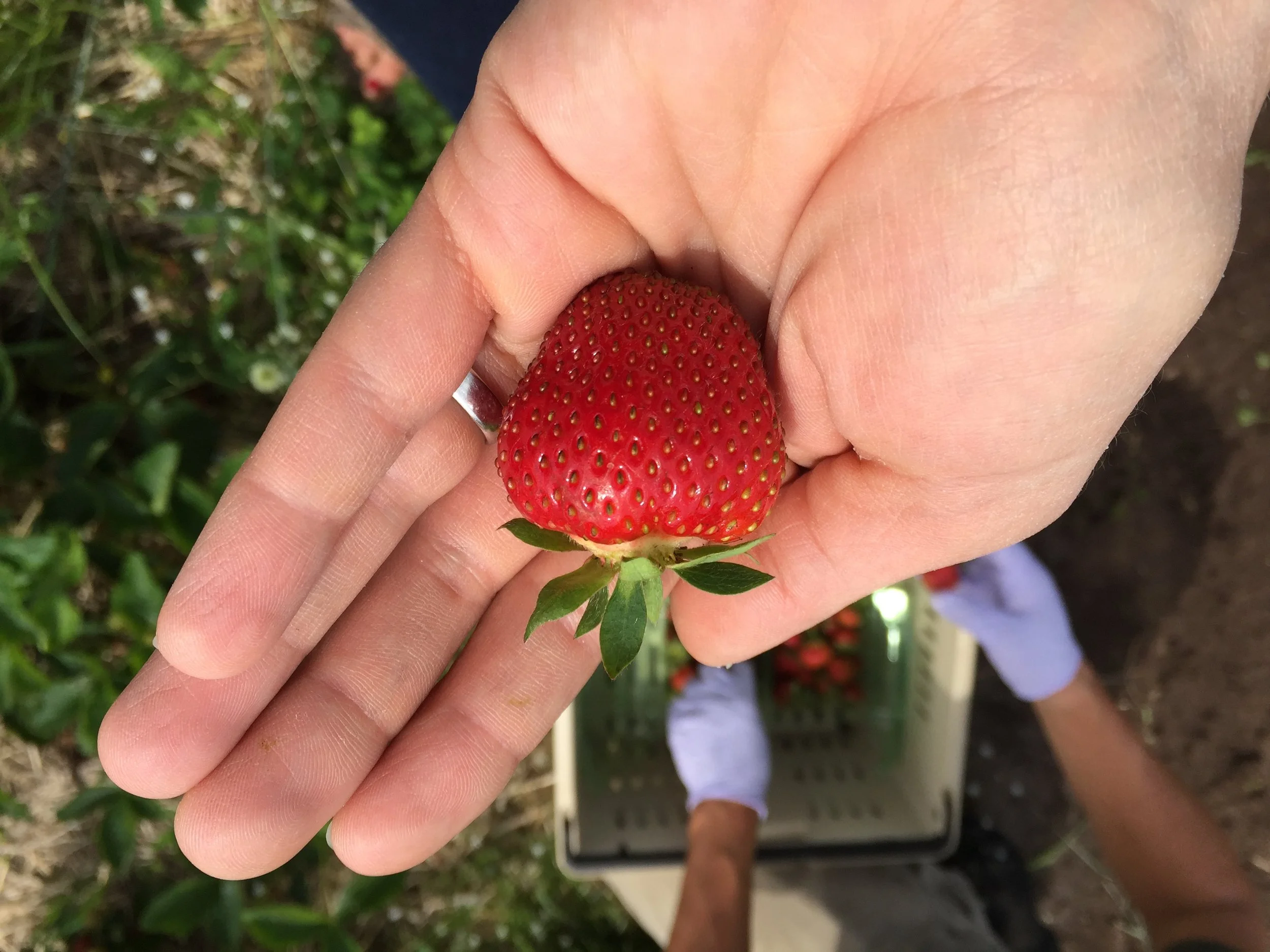 Phone dump Aug262017 468.JPG