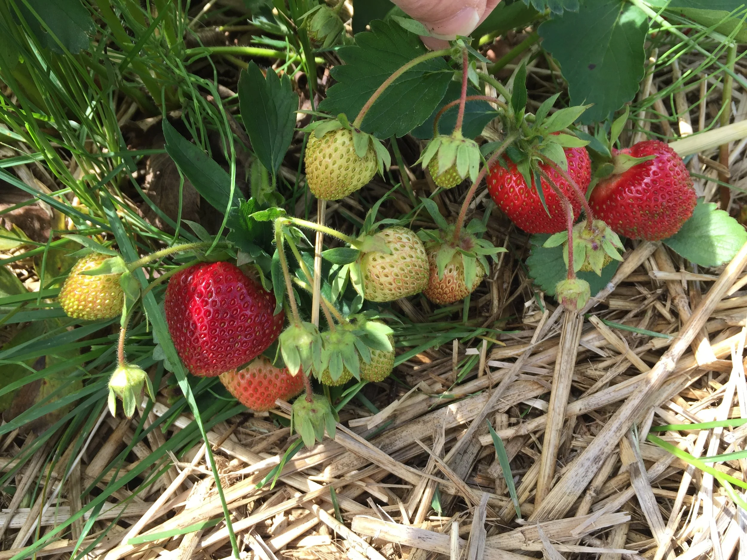 Phone dump Aug262017 470.JPG