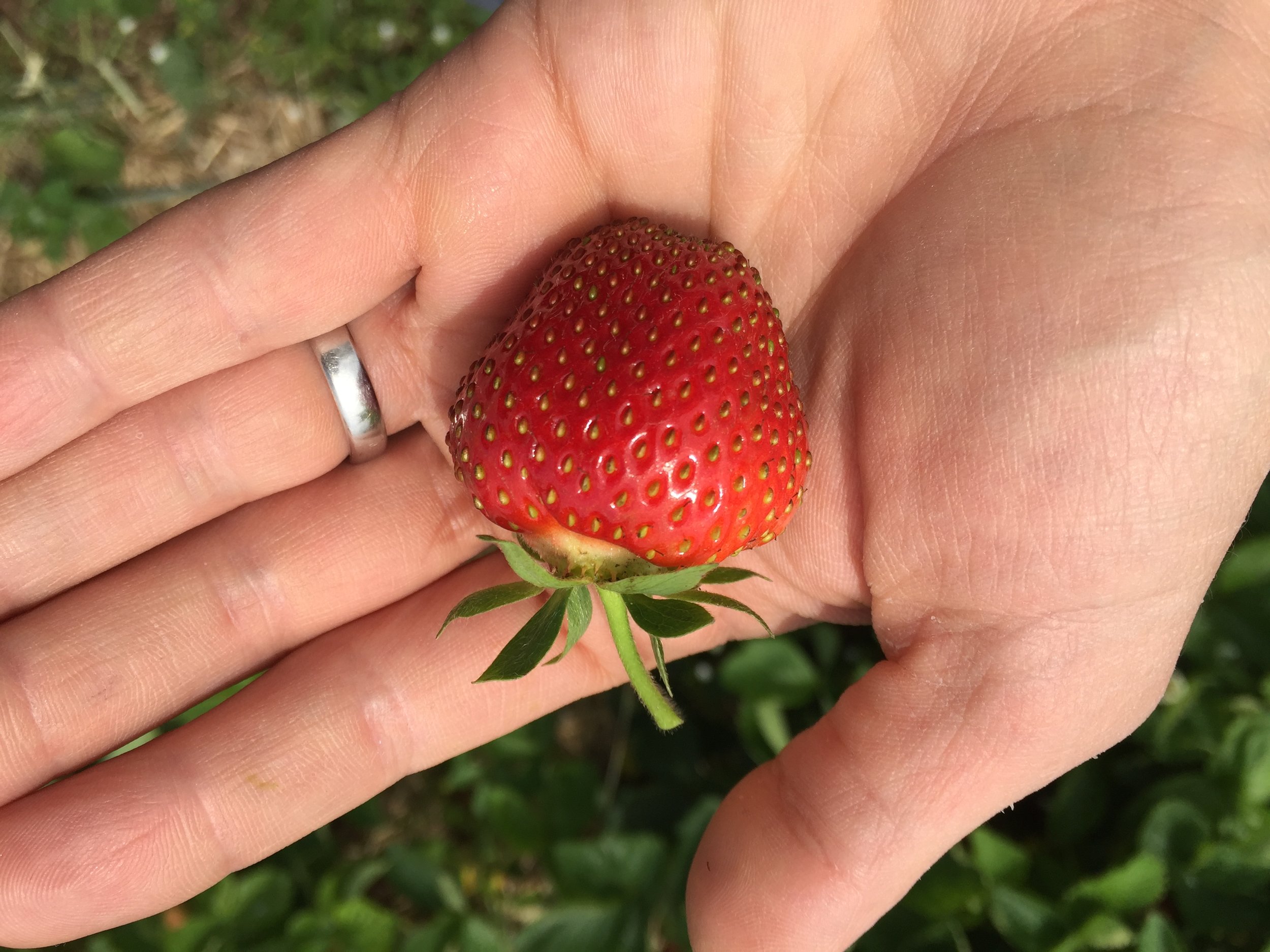 Phone dump Aug262017 467.JPG