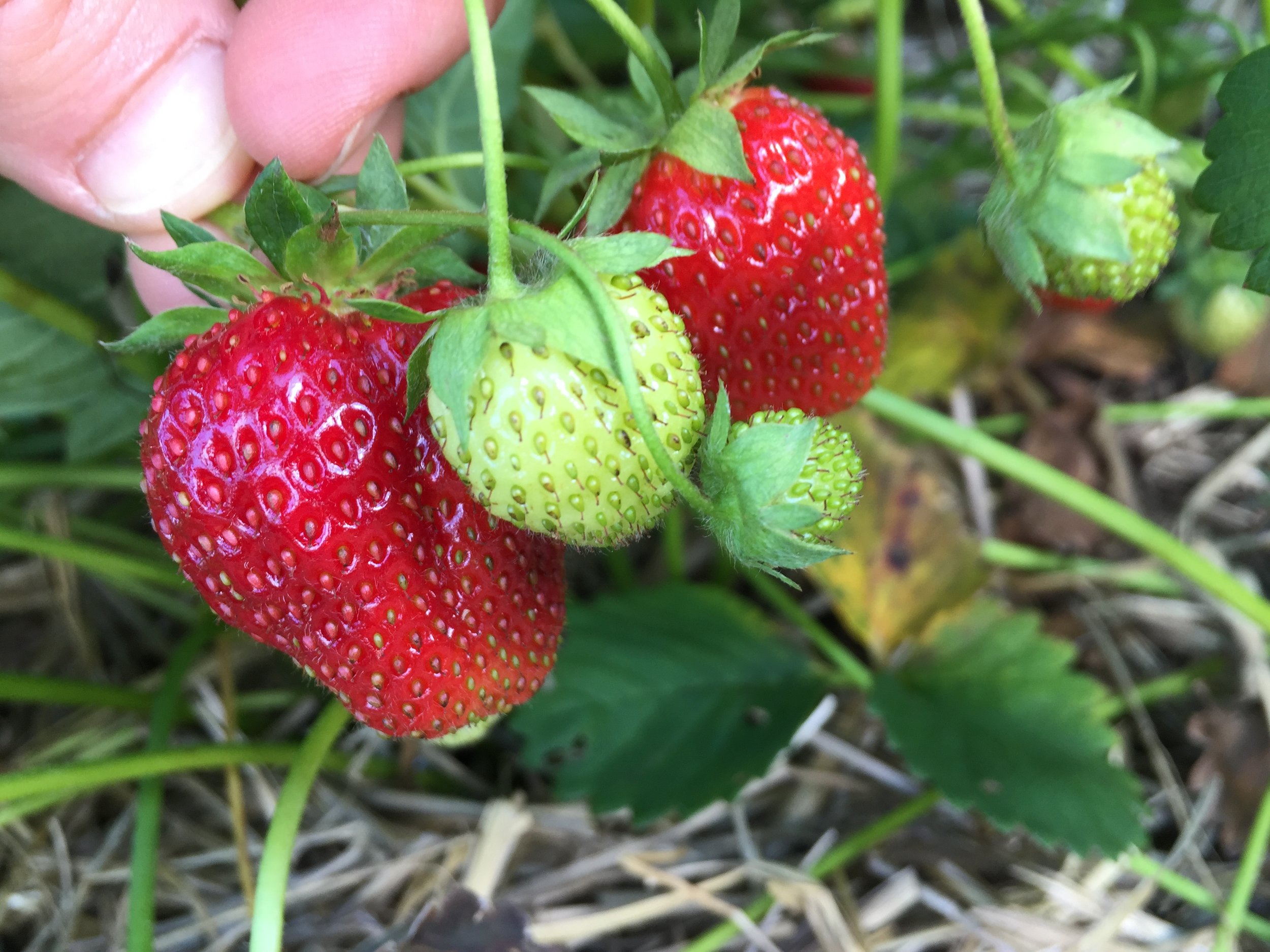 Phone dump Aug262017 487.JPG