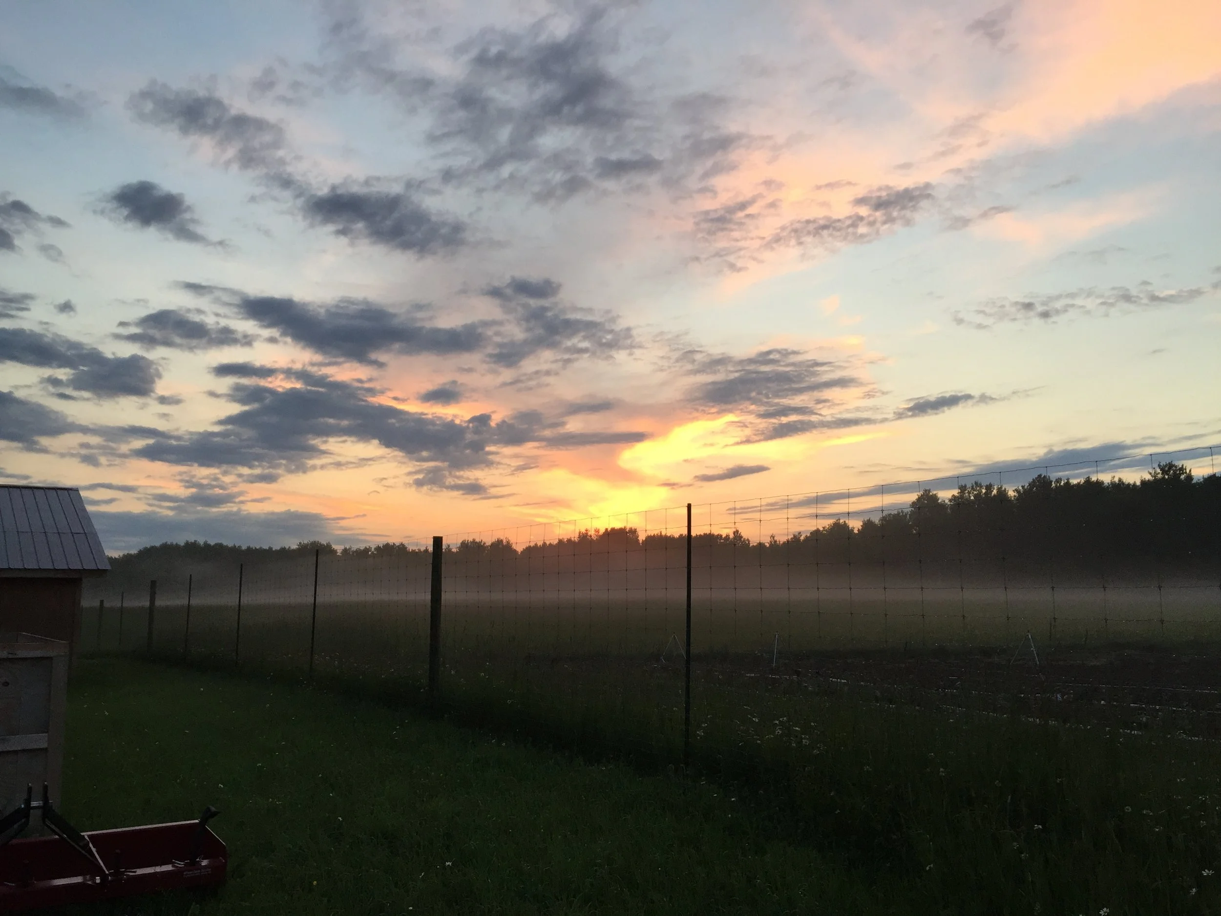 Phone dump Aug262017 506.JPG