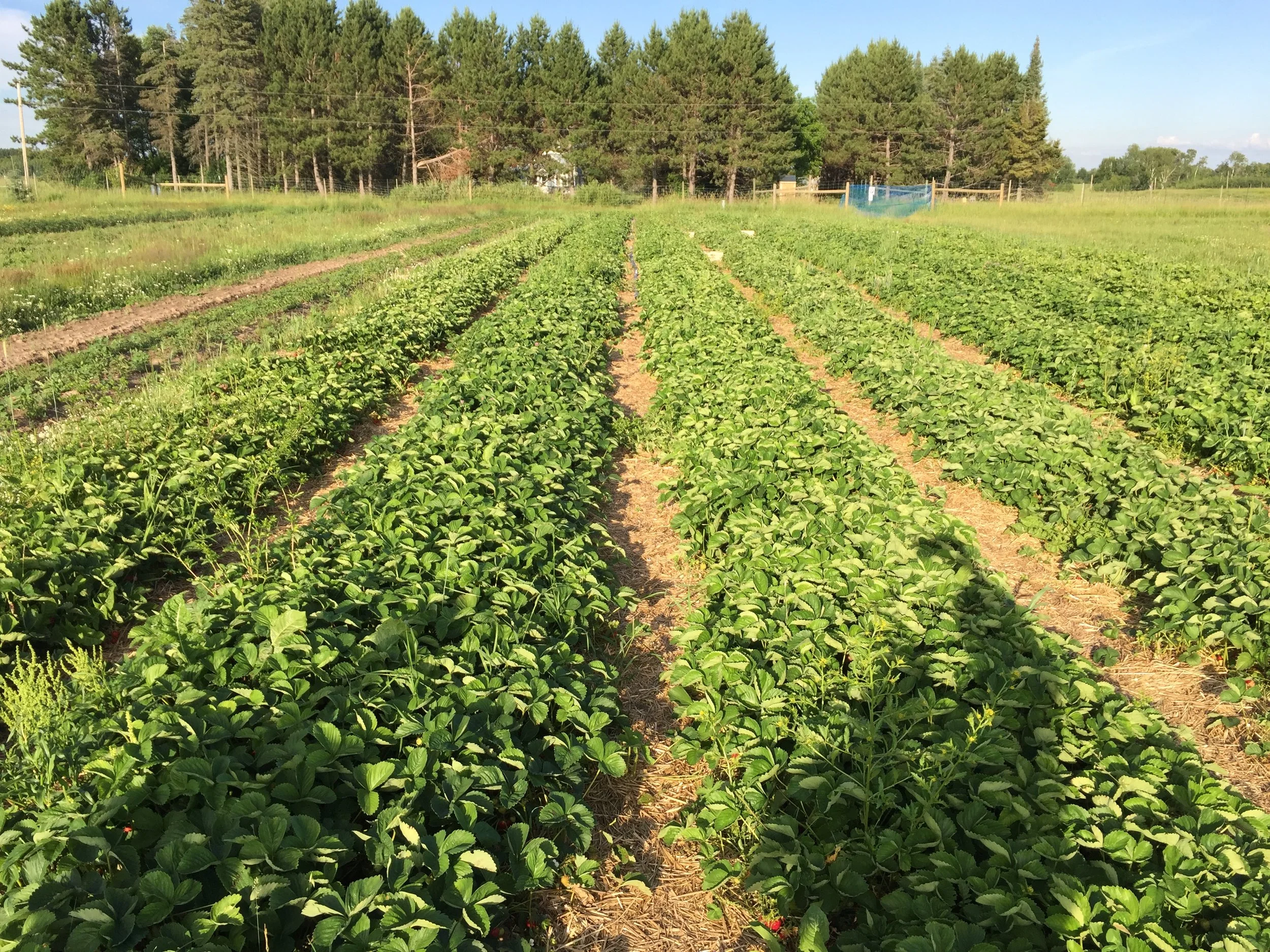 Phone dump Aug262017 509.JPG