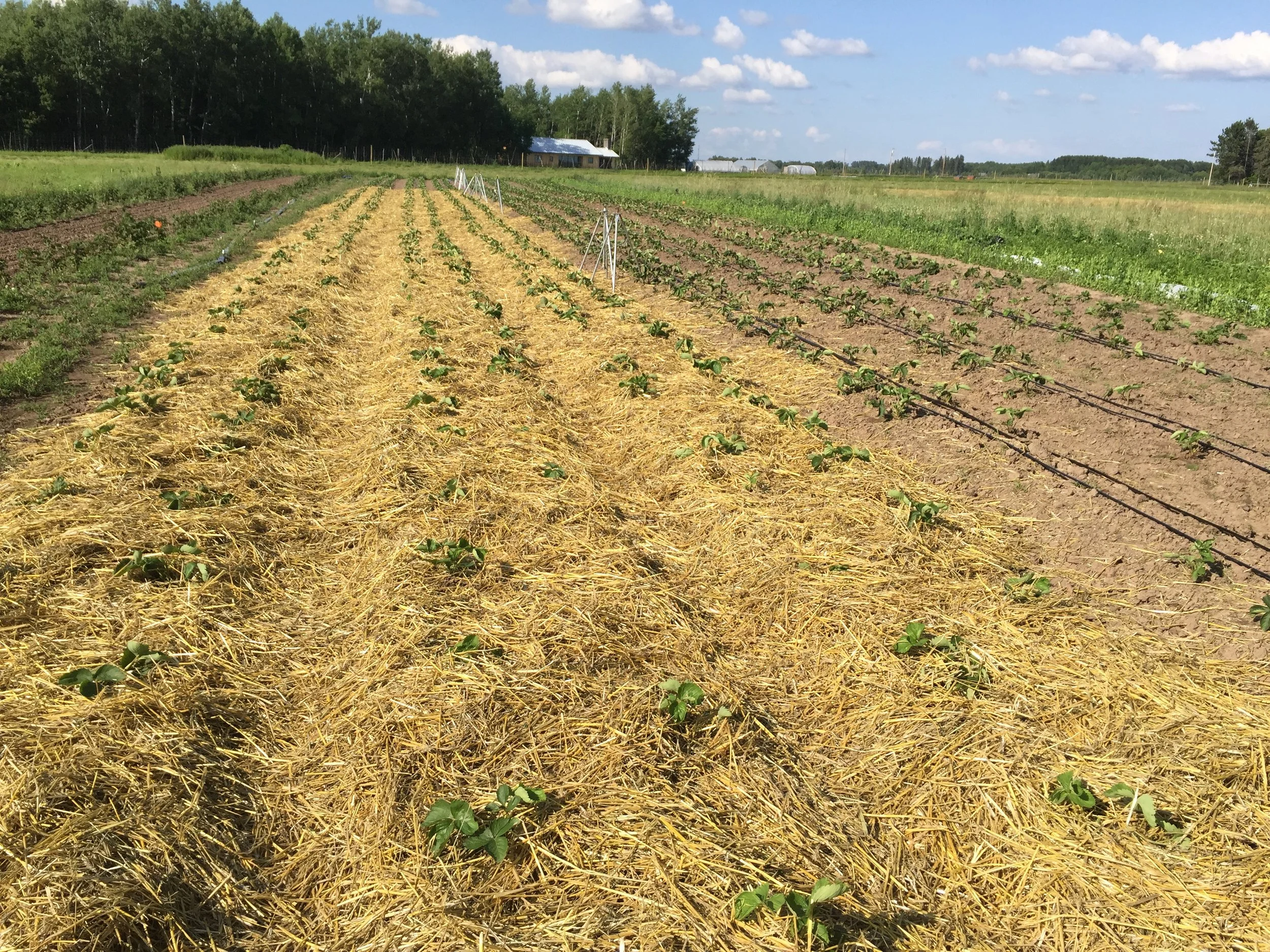 Phone dump Aug262017 546.JPG