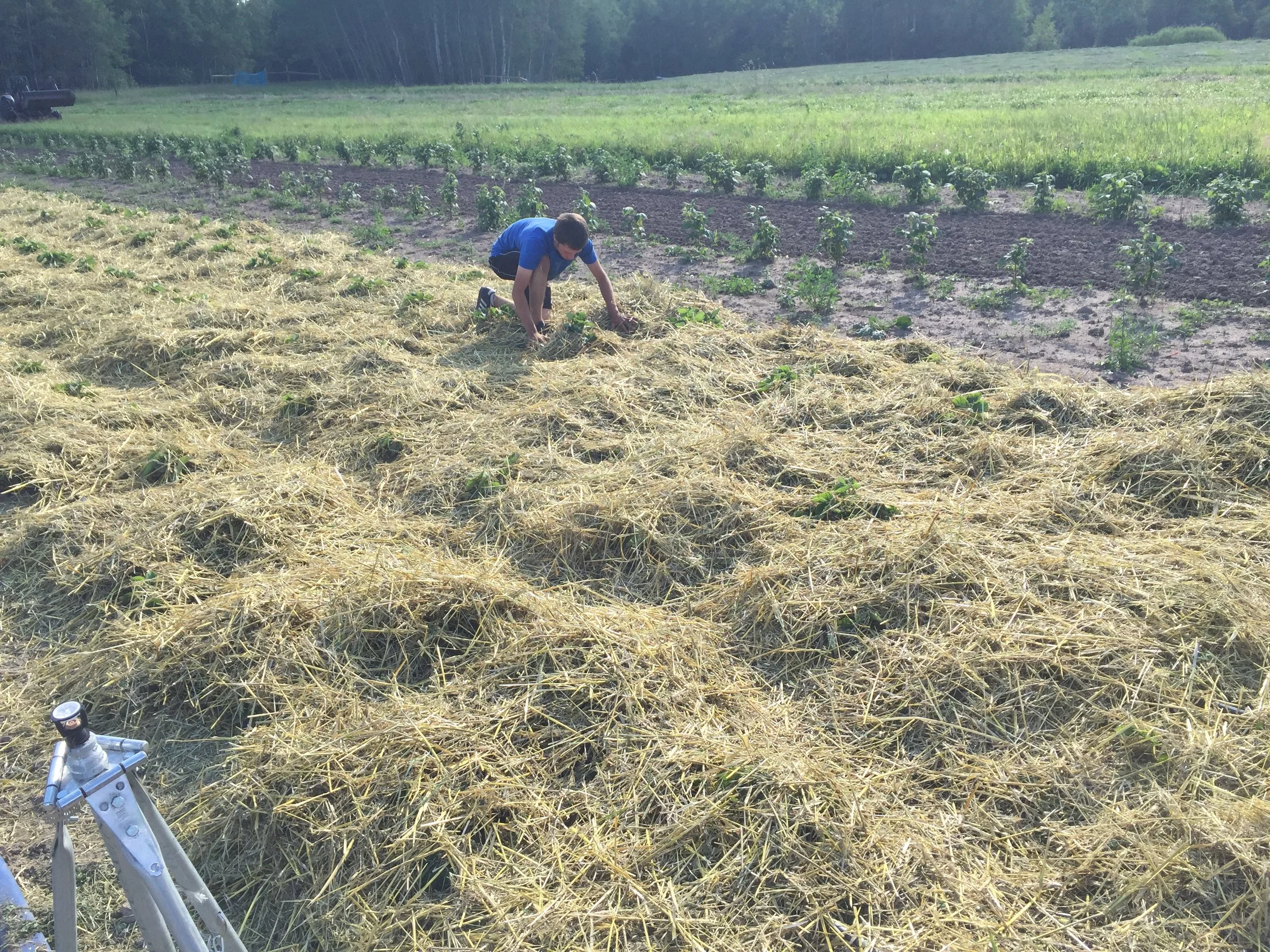 Phone dump Aug262017 567.JPG