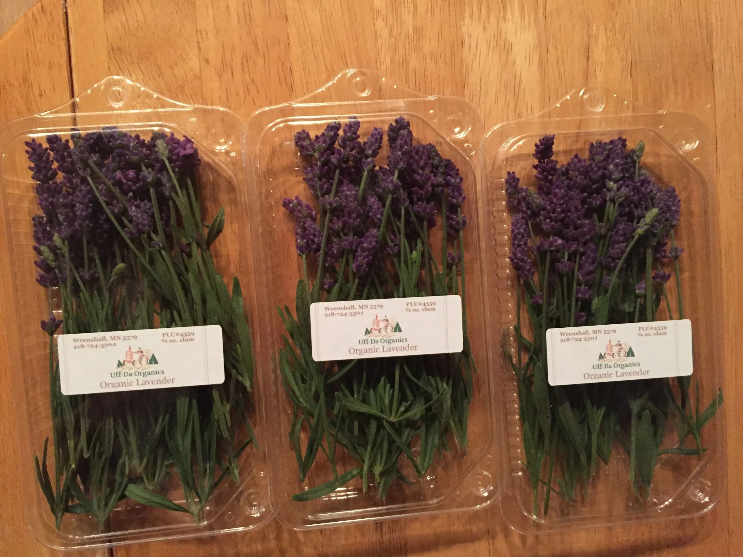 Phone dump Aug262017 608.JPG