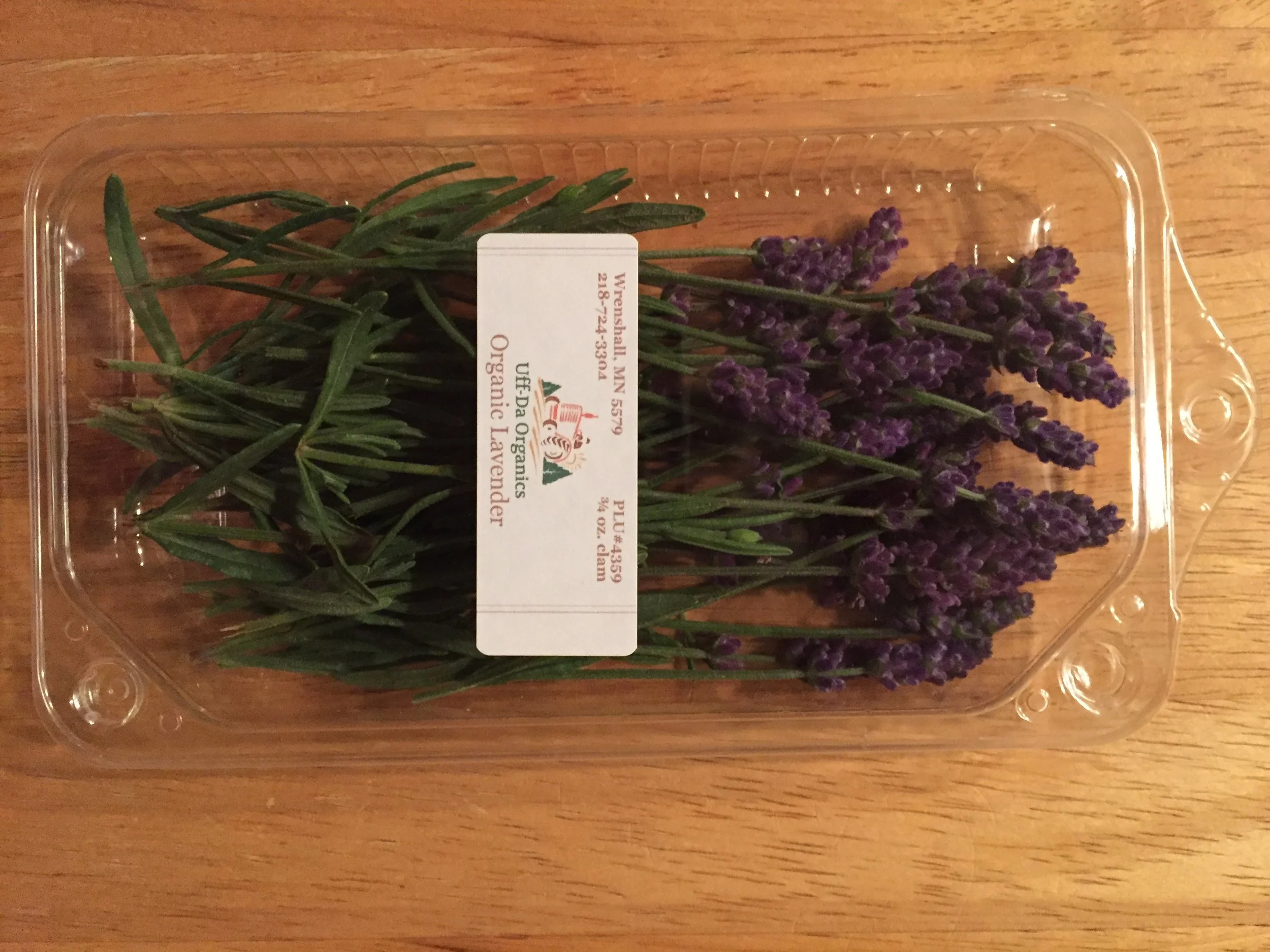 Phone dump Aug262017 609.JPG