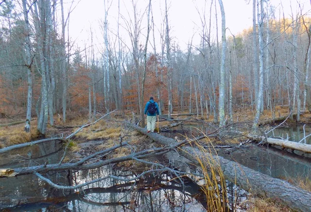 Winter hiking with my best friend mikey.