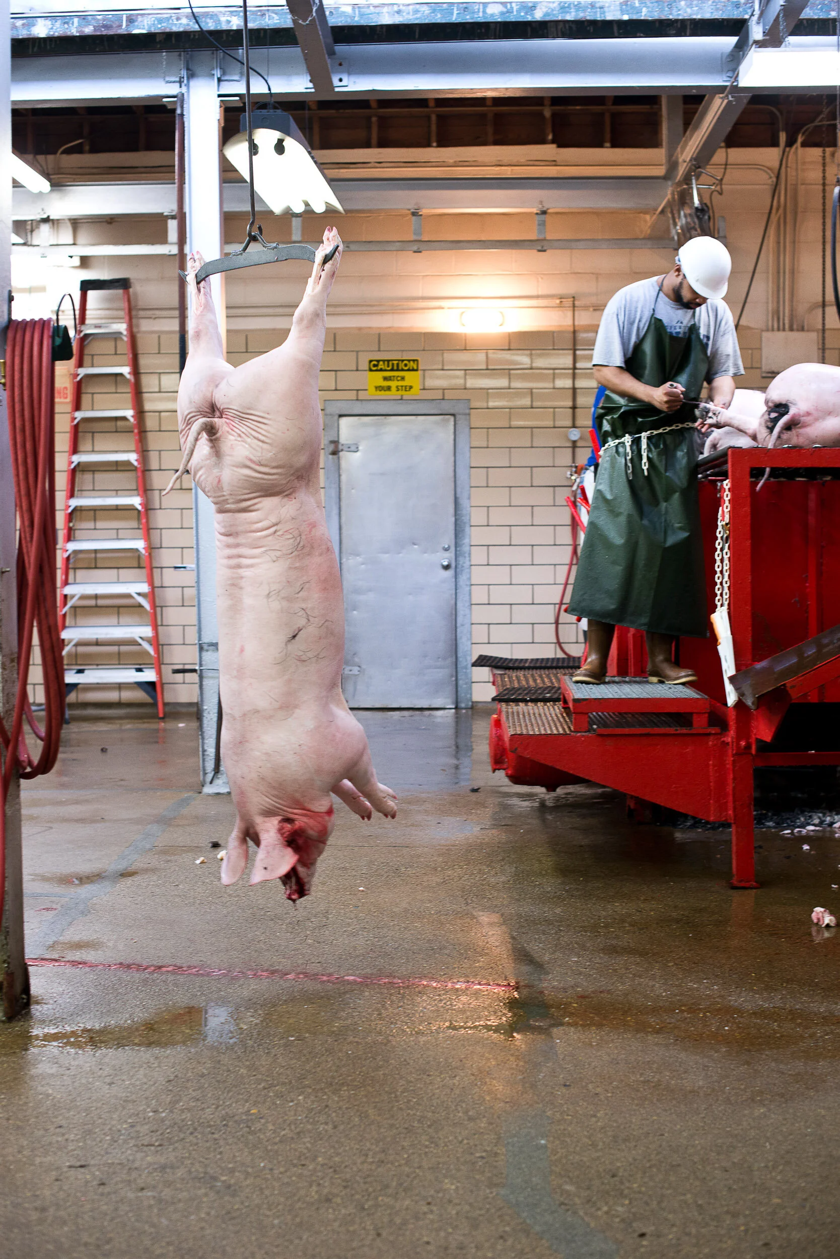  Stehlin’s abattoir / Cincinnati, OH 