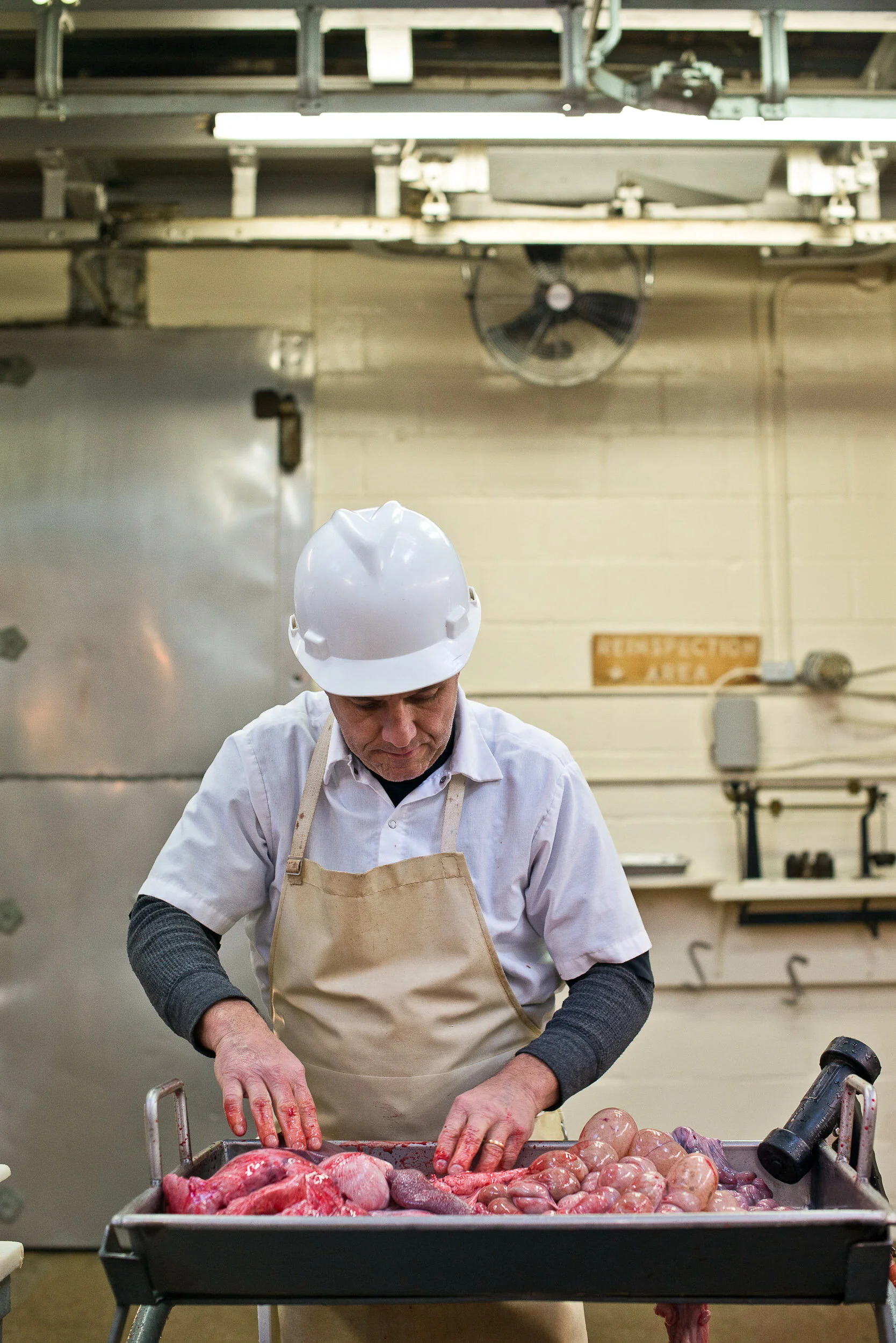 20150301_© Julie Kramer-011.jpg