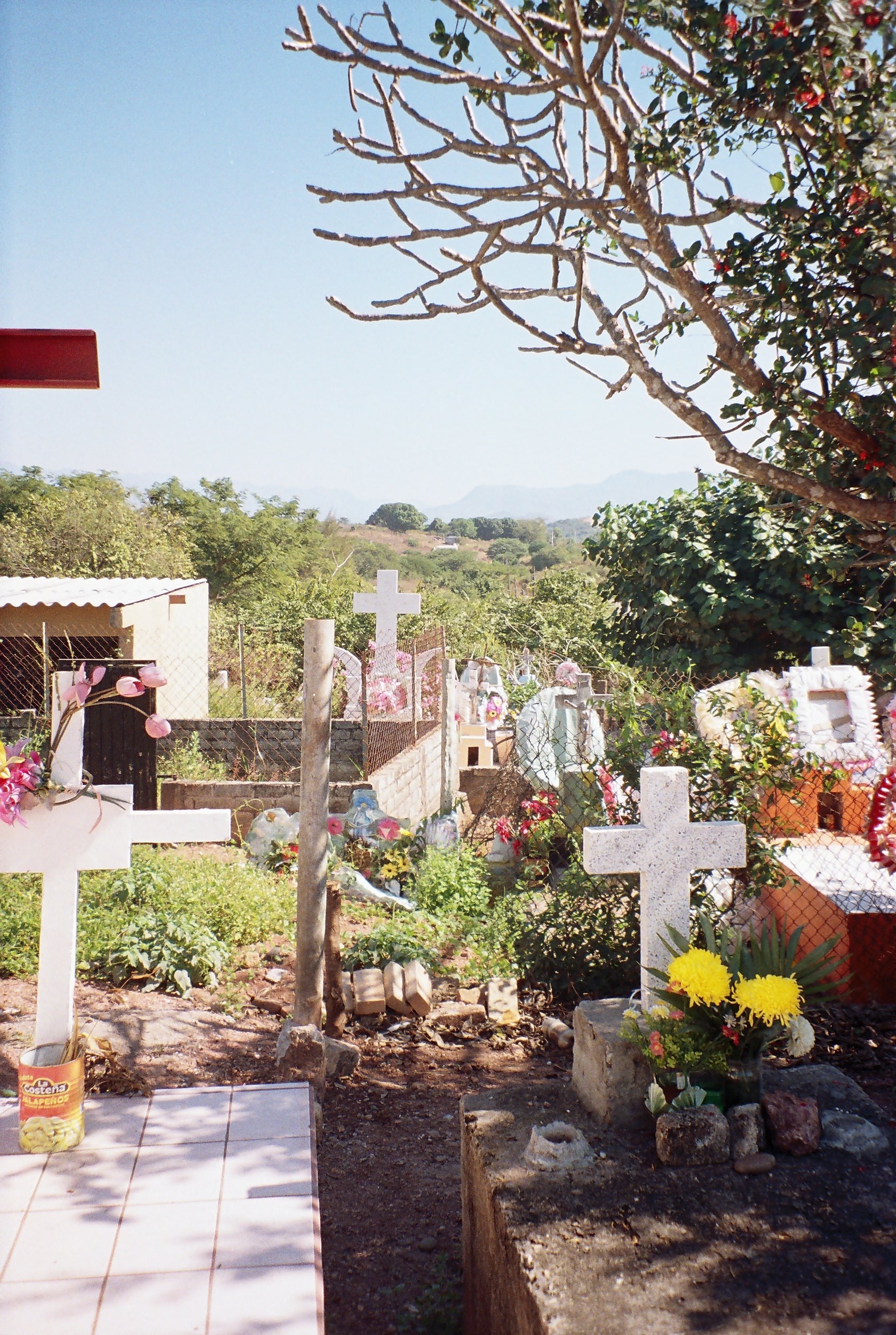 r001-009.jpg