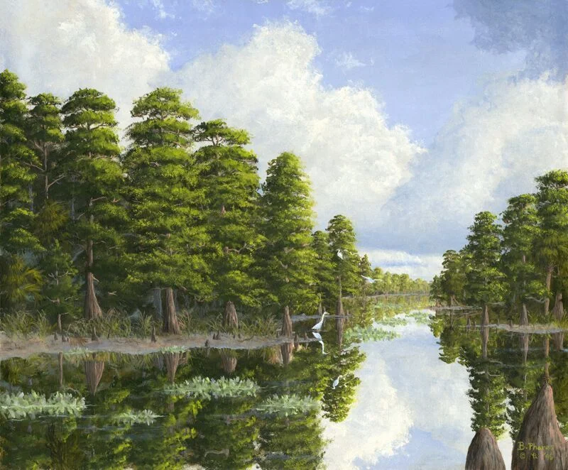 "Springtime Cypress"