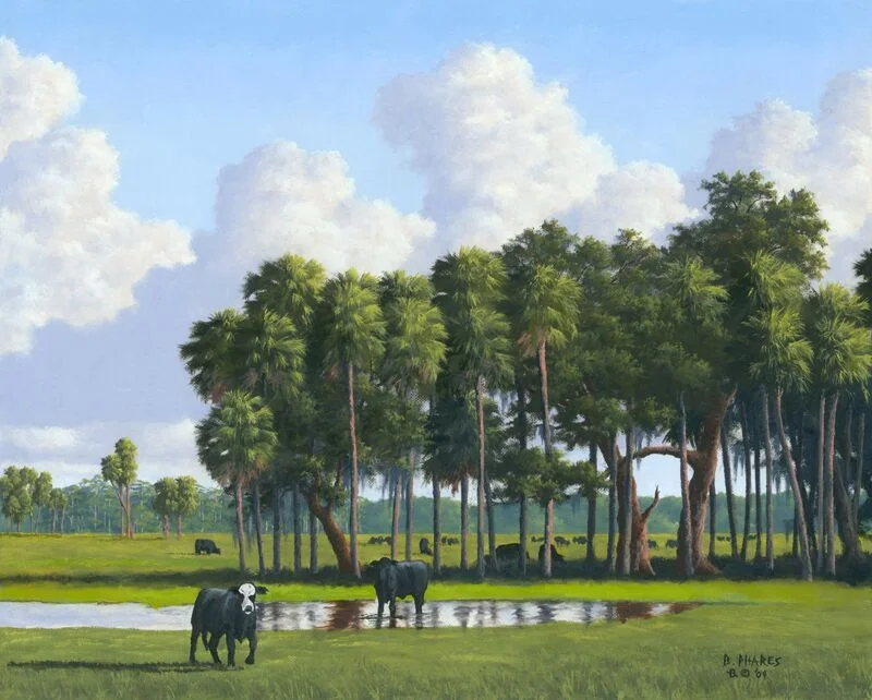 "Alico Heifer Pasture"