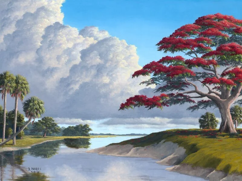 "Creekside Poinciana"