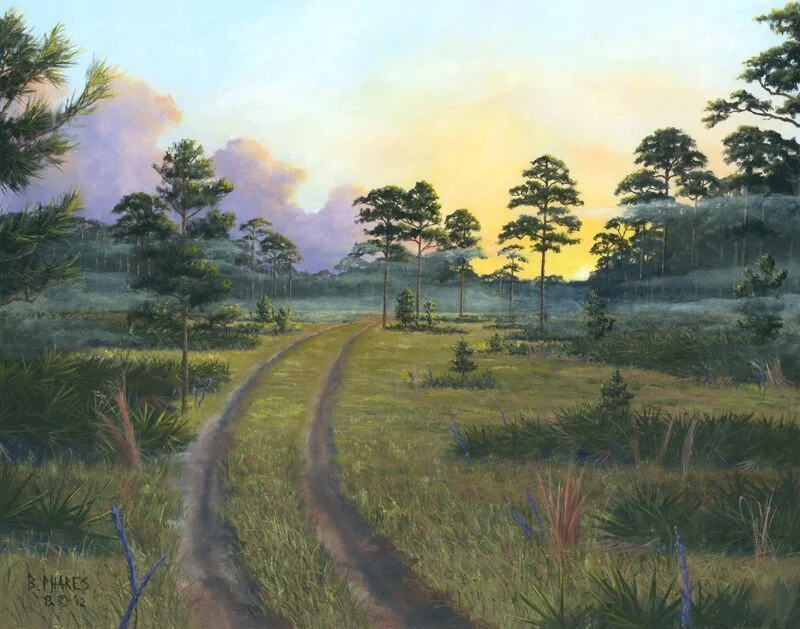 "Fall Morning in the Pines"