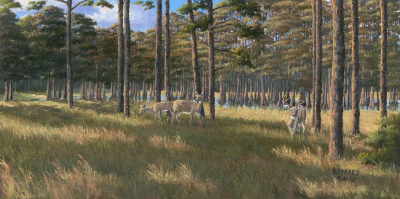 Late September Shadows