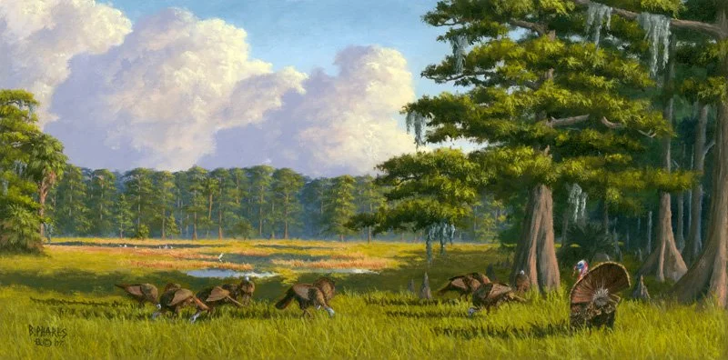 Cypress Harem 12x24.jpeg