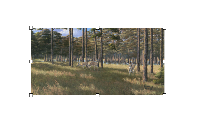 Late September Shadows