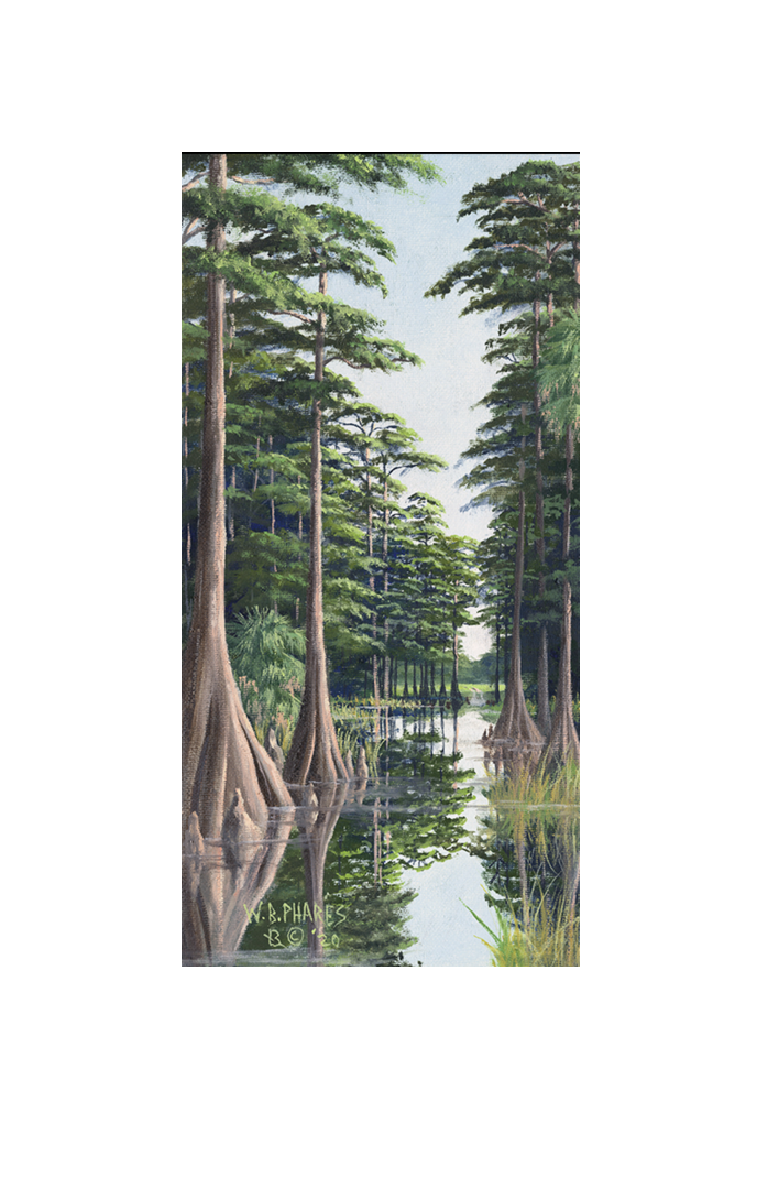 Screenshot 2025-11-19 at 5.09.31 PM.png