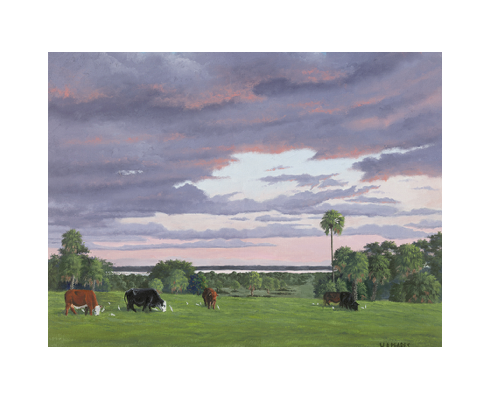 Screenshot 2025-11-19 at 2.46.38 PM.png