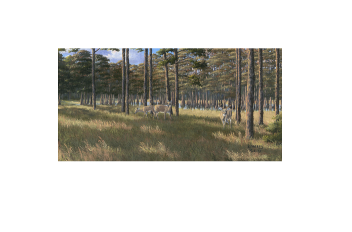 Screenshot 2025-11-19 at 5.02.17 PM.png