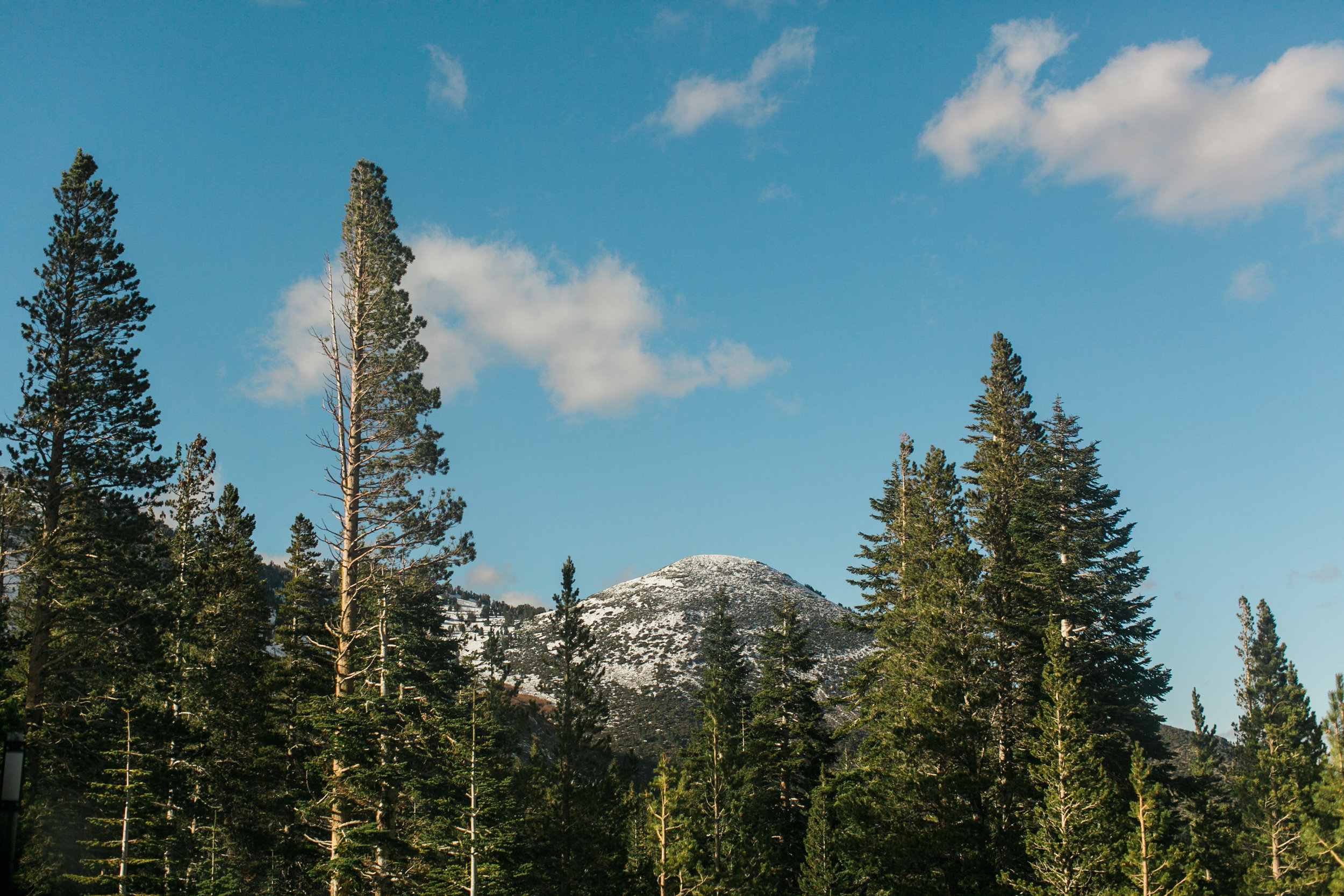 laketahoe (10 of 56).jpg