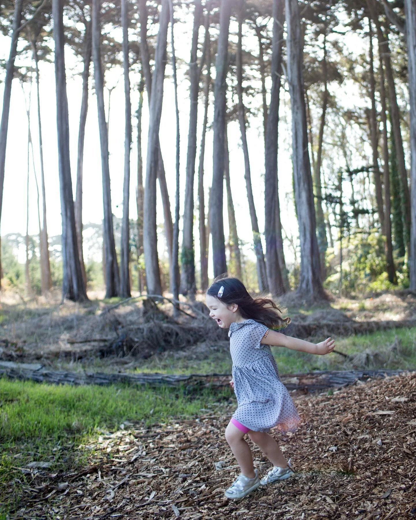 Here&rsquo;s your reminder to go on a walk&hellip; and bring your camera. It may not seem like it yet, but days are getting longer. 😻 
.
Where are you walking today? 
.
.
@saraherraldlai #takeahike #optoutside #bestcameraistheonewithyou #forestschoo