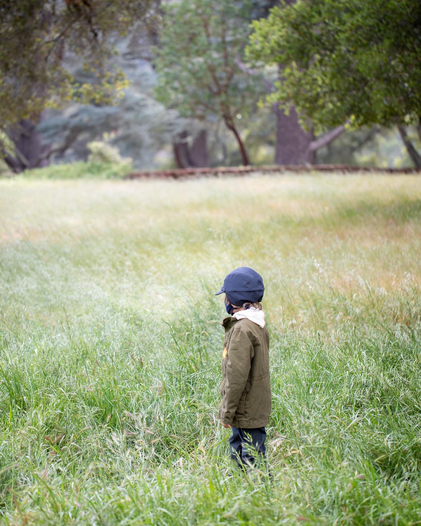 March forth, cutie pies! Today is literally commanding us to walk. 
🌿🌿
When you are out in nature, do you like to stick to the trail or be free to explore off the trail? ￼
🌿🌿

#filoli
#letthemexplore
#natureconnection
#vitaminN
#optoutside
#bayar