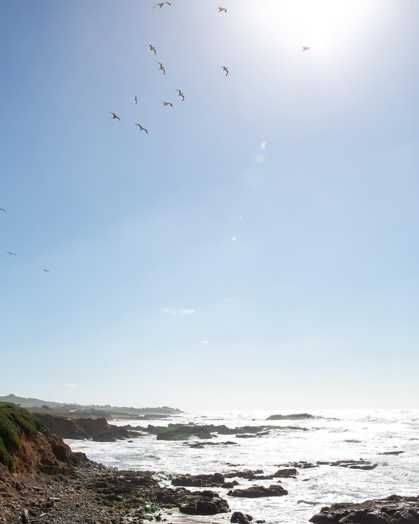 Happy Sunday- We&rsquo;re heading out to the coast (first time to Sea Ranch -The Sea Ranch?) and I can&rsquo;t wait to explore with @denarochelle and plan our retirement. Let me know if you have any hot tips for the area. 
✨
This photo is from a beac