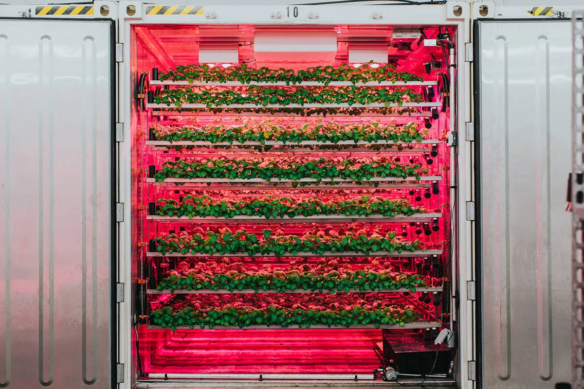 The CubicFarm System moves rows of leafy greens through a system calibrated to grow the perfect crop. ( cubicfarms.com )