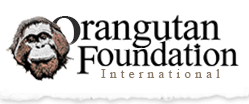 orangutan-foundation-logo-O.png