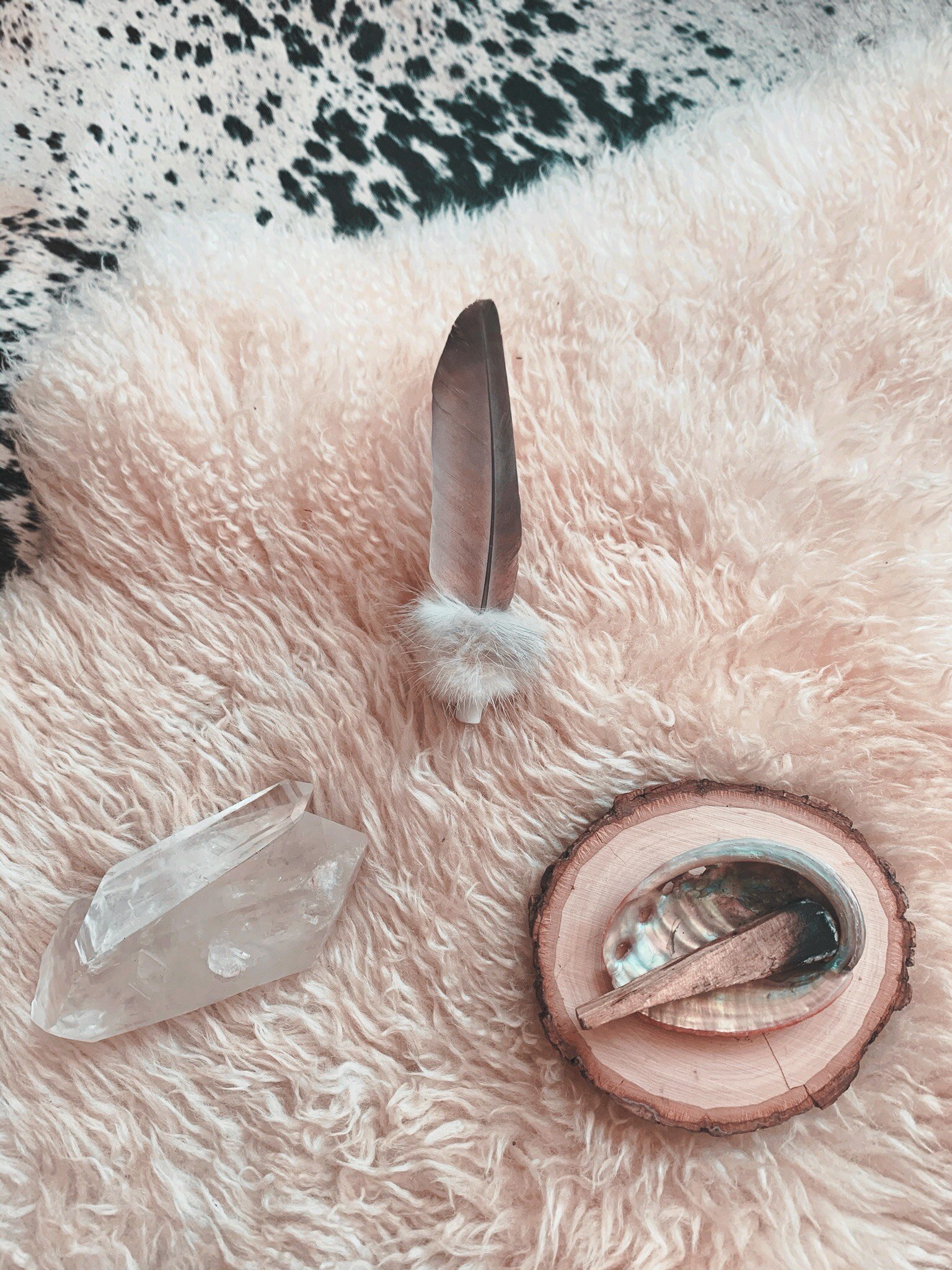 54CD8F52-E134-489F-AEAB-ECB150CBDF0E