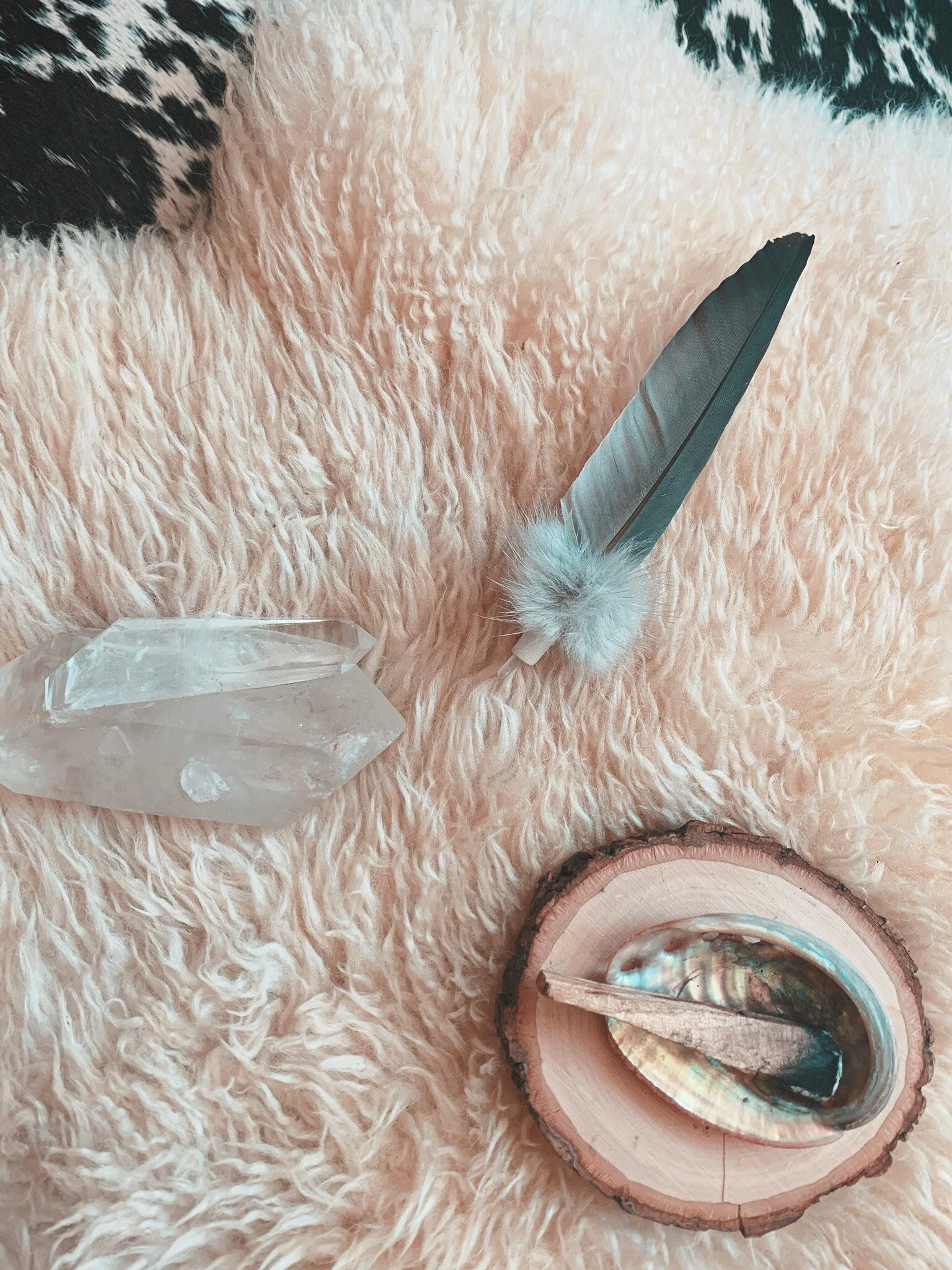 6B6B7A50-6403-4D16-AA1D-44BA6603D0E5