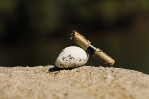 F9606895-BD96-43EA-8F28-006B85DF94F2