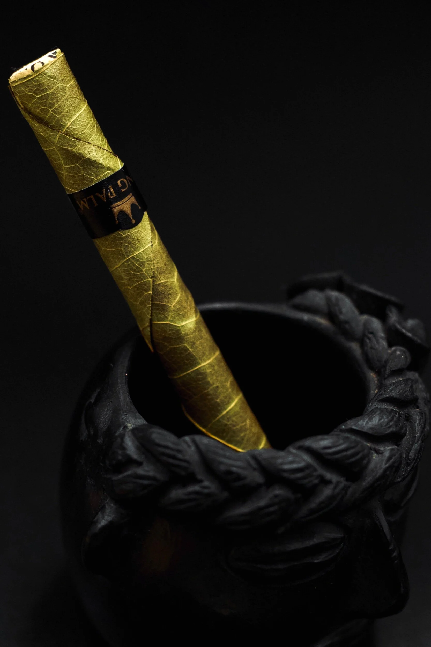 CC54C1C1-8FA2-487E-9B82-DBF9D9AB400F