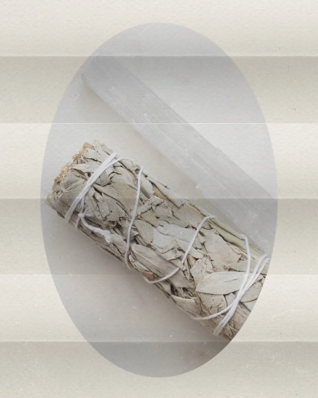 E0B62C6F-1A08-41AA-88DA-7679A803ECA7