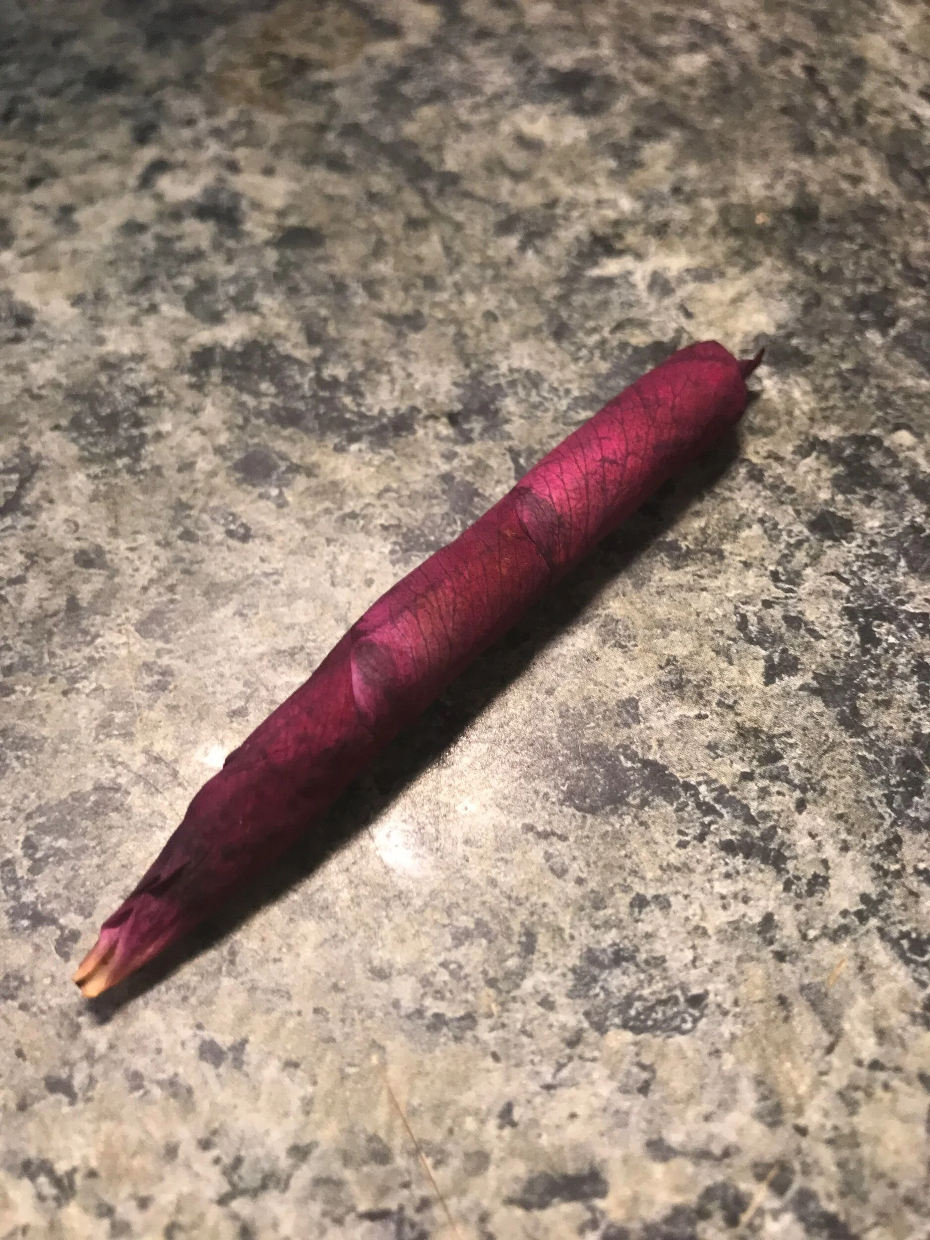 A269D166-6DF4-4A8B-9E2F-F60044721108