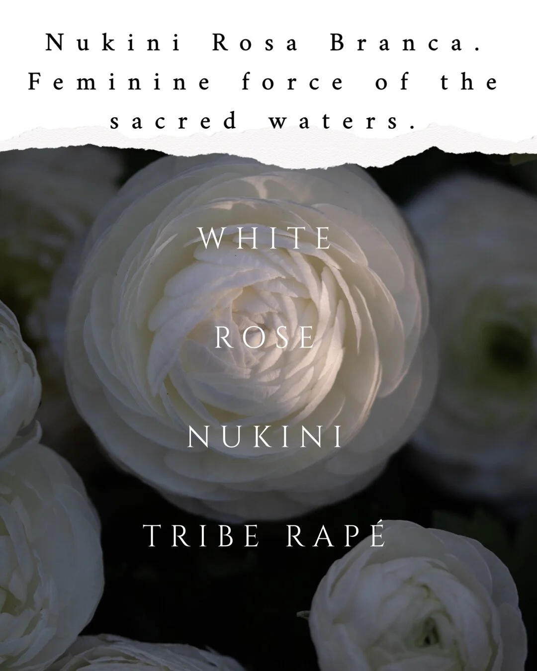 F7F6B6F6-98AB-46D7-8973-BE1EF5CD82A1