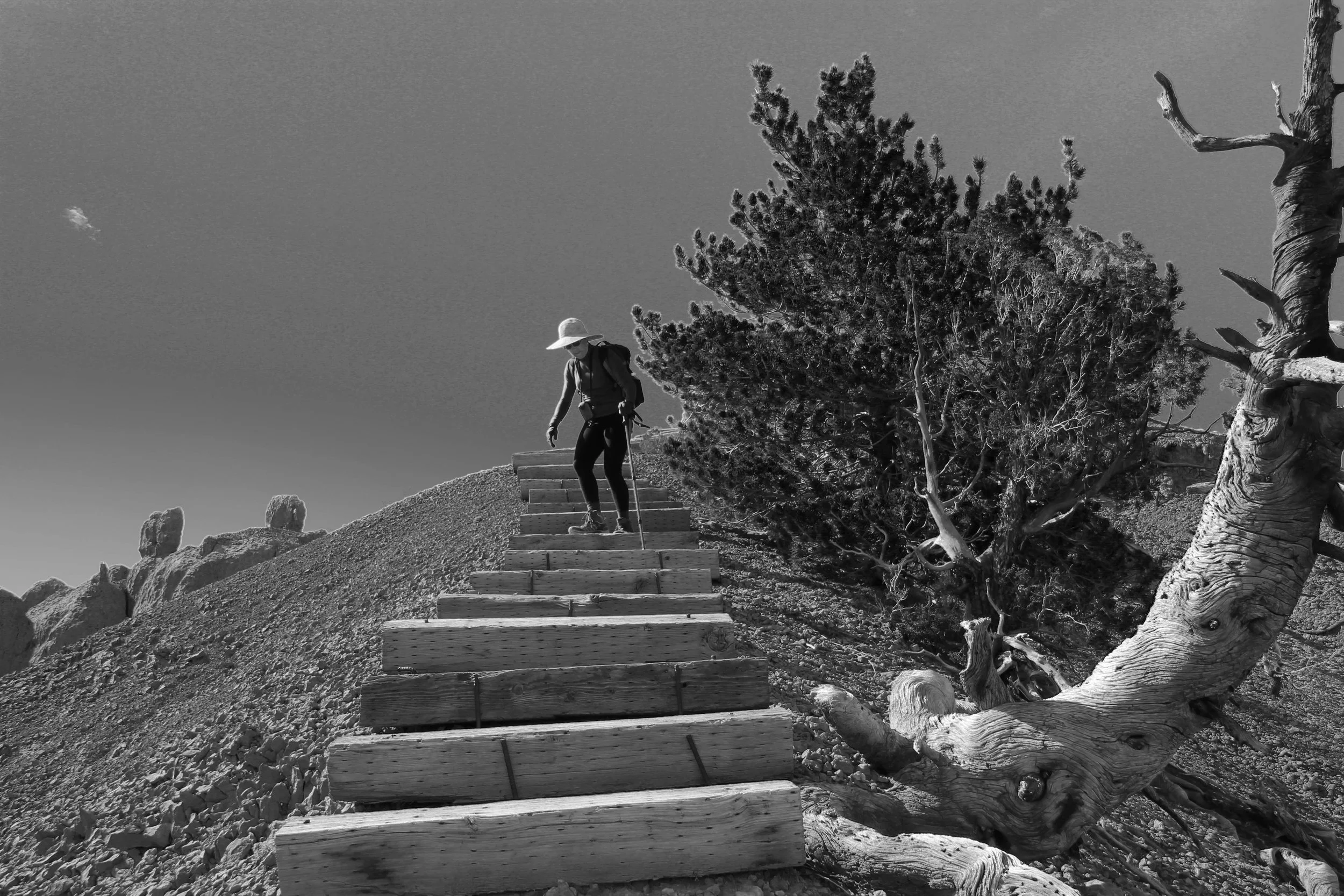 TwilightZone steps.jpg