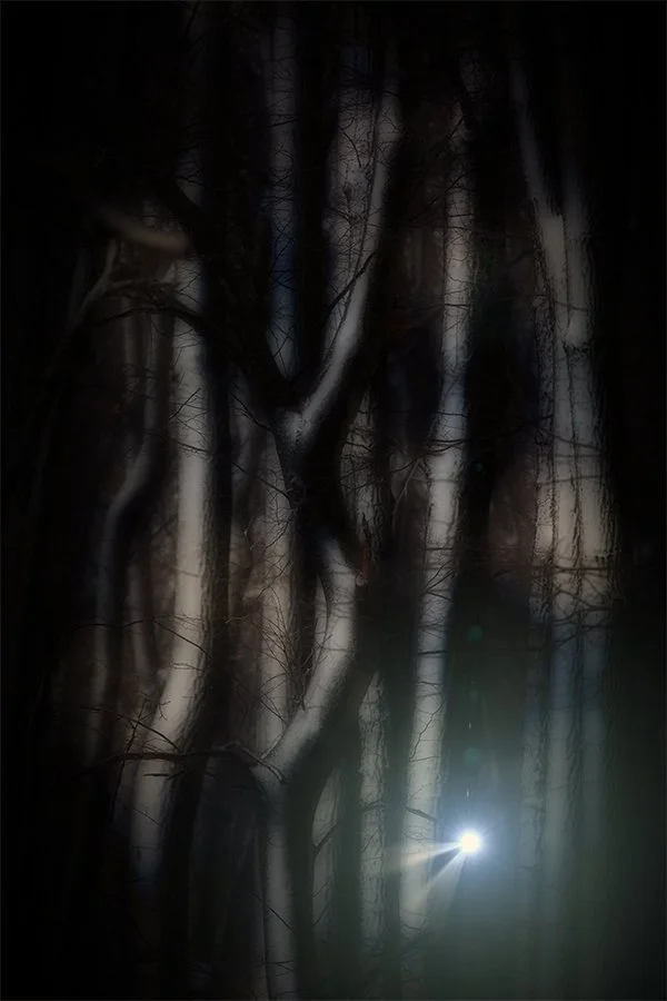 SqSpTree study1Tungsten.jpg