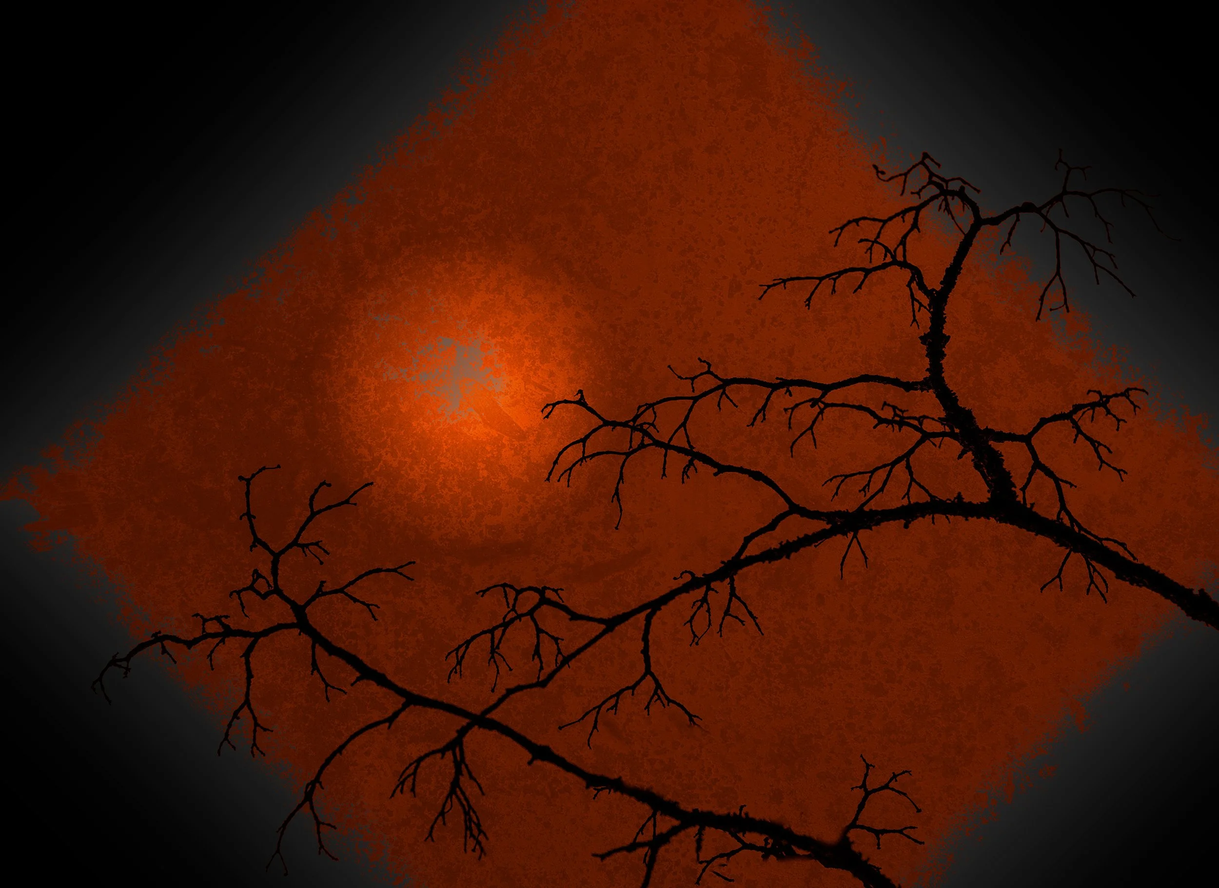 Abstract3 and branch2.jpg